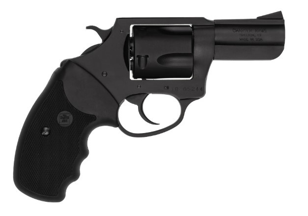 CHARTER ARMS BULLDOG .44 SPL. LARGE 5 SHOT 2.5IN FIXED STANDARD BLACK PASSIVATE 14420 - Smith Savings Week